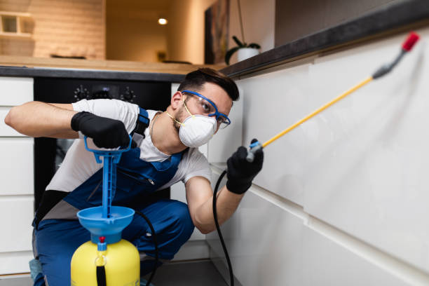 Best Pest Removal Services  in Kingston, RI